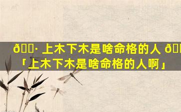 🕷 上木下木是啥命格的人 🍀 「上木下木是啥命格的人啊」